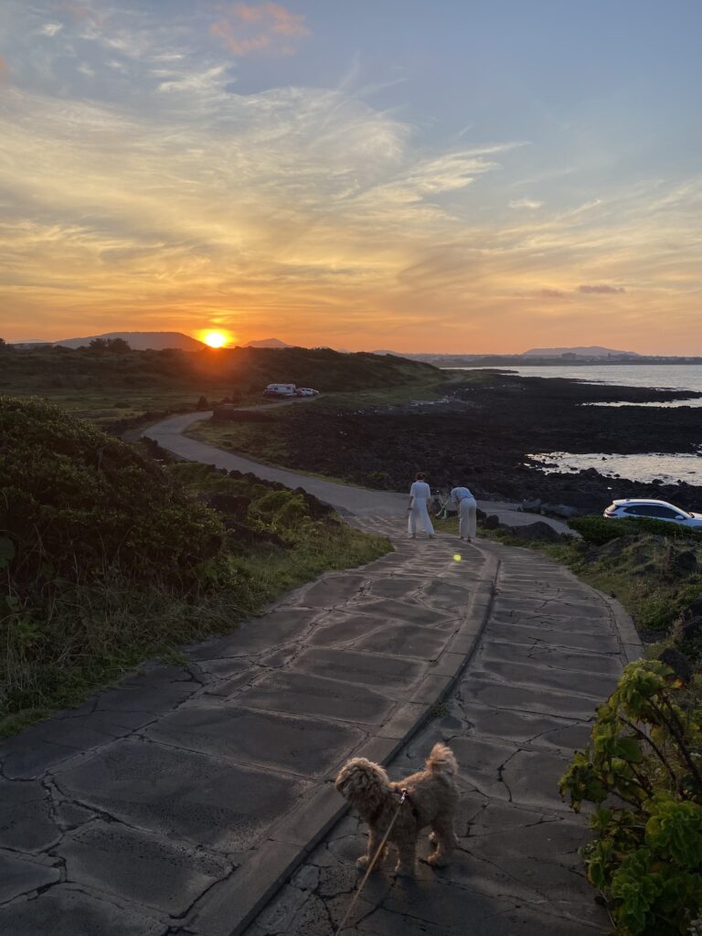 Sunset at Seongsan Ilchulbong and there're 2 people and 1 dog