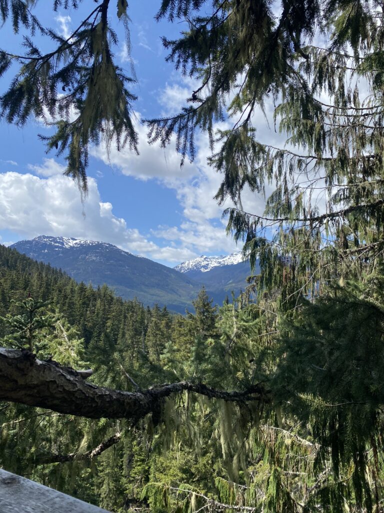 Snowy mountain peaks and green forest under a bright blue sky in Whistler, Canada.
