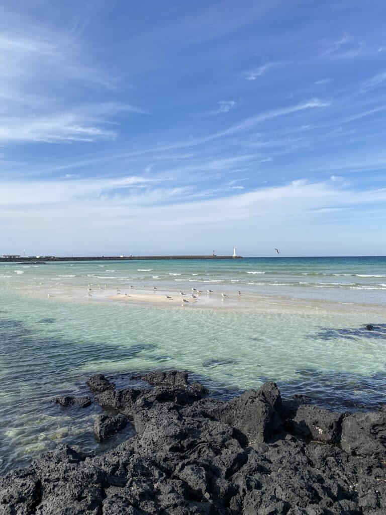 Woljeongri Beach with clear sky and black volcanic rocks